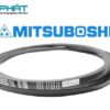 Day20Curoa20Mitsuboshi20SPC20475020 20BMA20Viet20Nam 1637380405